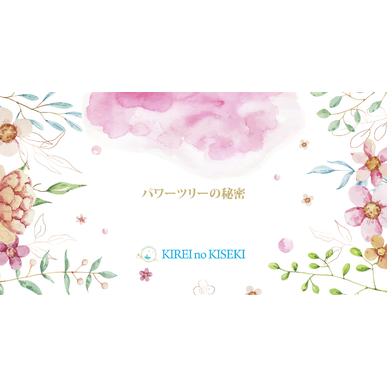 エステで人気のお店キレイノキセキ！パワーツリー