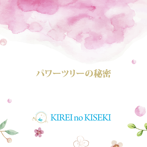 エステで人気のお店キレイノキセキ！パワーツリー